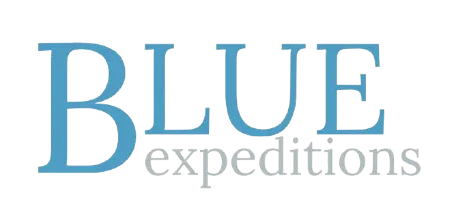 Blue Logo 1 Removebg Preview | ALCAN EUROPE SL